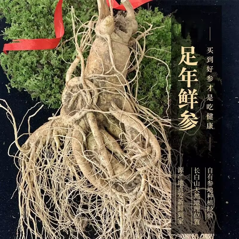长白山现挖新鲜人参特大单支鲜参精选鲜人参煲汤泡酒参农直销