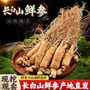 现挖长白山新鲜人参 鲜人参15支250克500克煲汤泡酒产地直销 园参