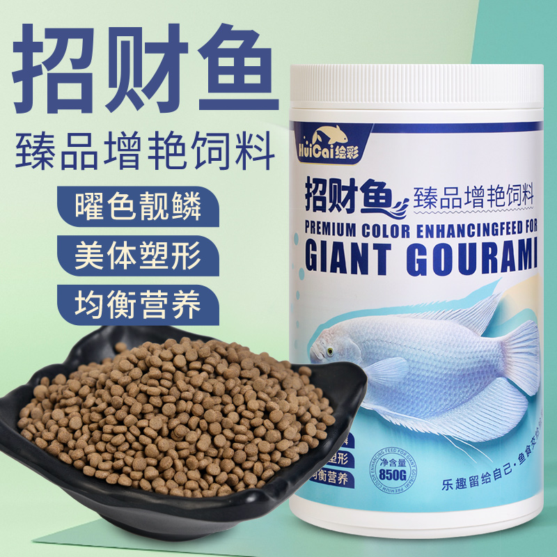 绘彩招财鱼饲料地图鱼战船热带鱼鱼食发财鱼白招财观赏鱼专用鱼粮