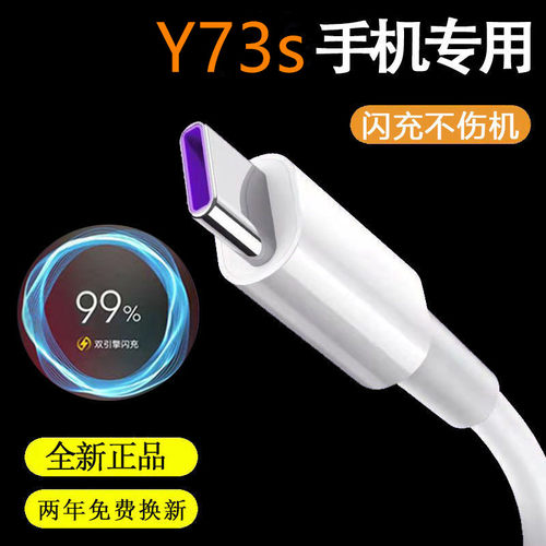 适用vivoY73s双引擎充电器闪充
