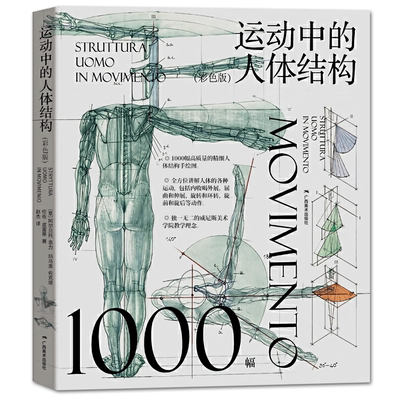 运动中的人体结构彩色版