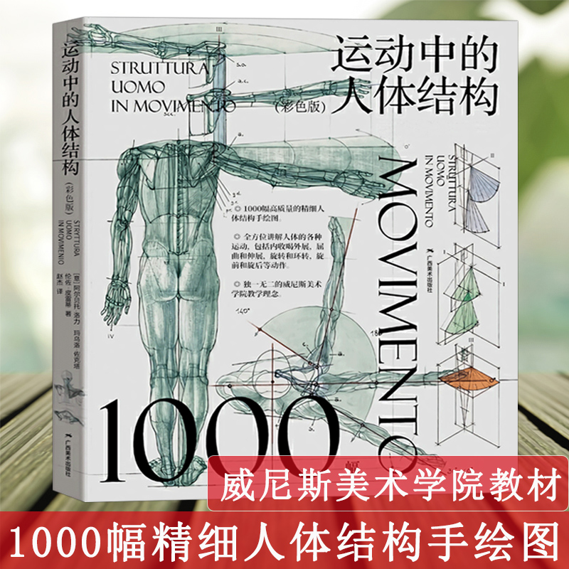 运动中的人体结构彩色版