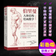 伯里曼人体结构绘画教学彩色版 人体结构造型手绘技法艺用人体构解剖人物模型素描速写临摹动漫美术结构教程书 高清还原图画稿版