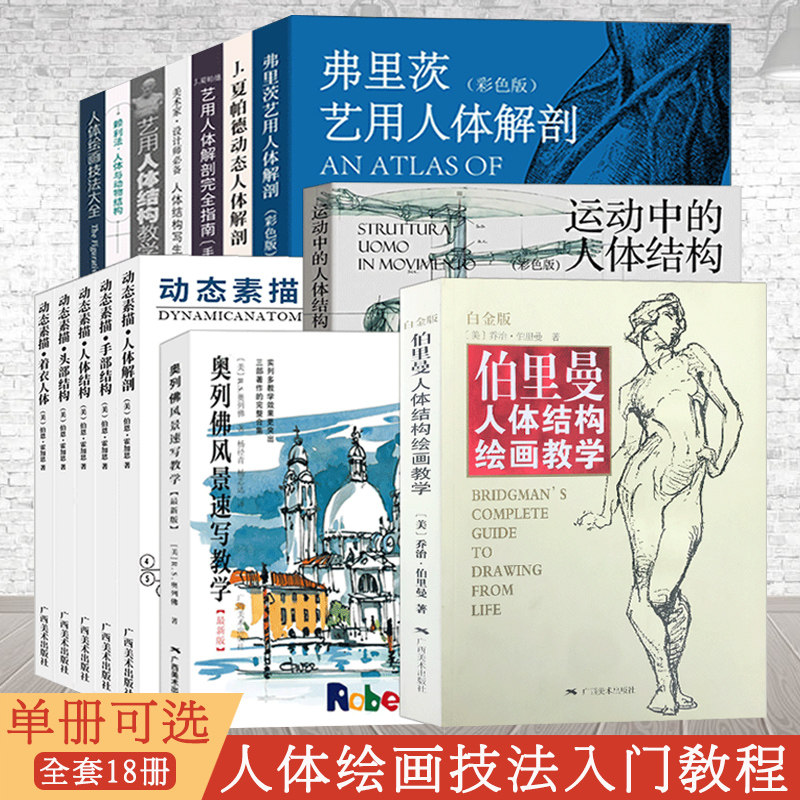 单册可选 伯里曼人体结构教学 赖利法人体与动物结构 人体绘画造型