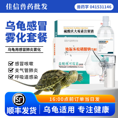 乌龟肺炎雾化药套餐乌龟肺炎感冒药浮水张嘴叫喘巴西龟呼吸道感染