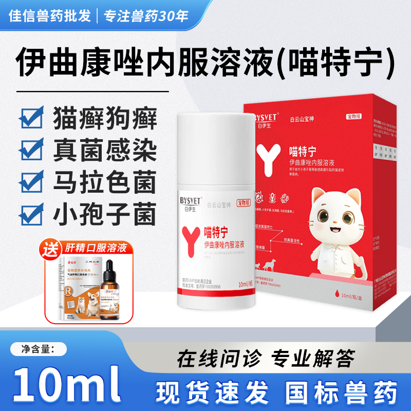 伊曲康唑猫癣口服药真菌皮肤病