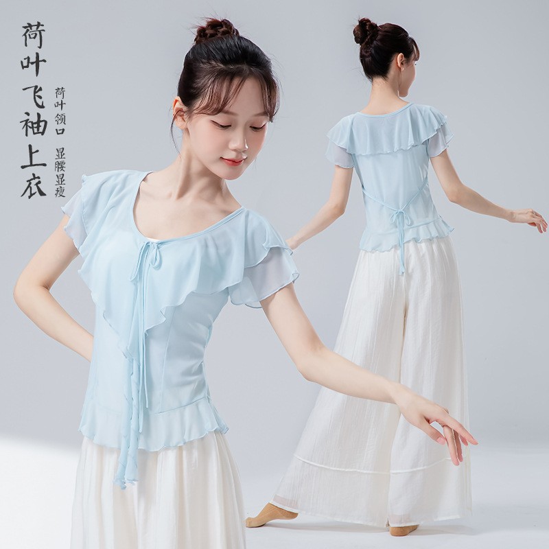 古典舞蹈服女弹力水纱荷叶小飞袖夏修身现代舞形体跳舞演出练功服