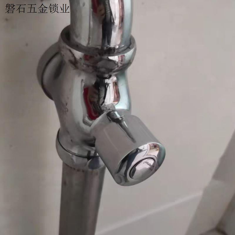 延时手按式全铜体冲水阀自闭式小便池蹲便器大便冲洗阀厕所阀门.