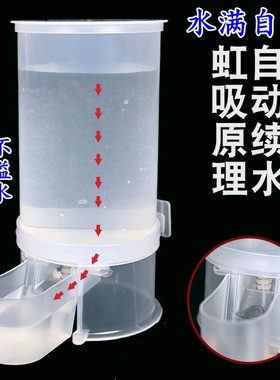 新款鸽子鸟用饮水器信鸽用具自动水壶鹦鹉喂水杯芦丁鸡小鸡饮水槽