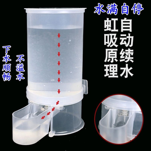新款鸽子鸟用饮水器信鸽用具自动水壶鹦鹉喂水杯芦丁鸡小鸡饮水槽