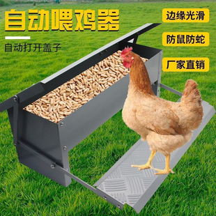 鸡食槽养鸡用品料槽防雨喂鸡神器铁料槽自动喂鸡工具喂鸡槽喂食器