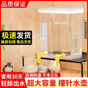 芦丁鸡食槽饮水器鹌鹑雏鸡防臭防溅水防变质水壶卢丁鸡撞针饮水器