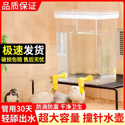 芦丁鸡食槽饮水器鹌鹑雏鸡防臭防溅水防变质水壶卢丁鸡撞针饮水器