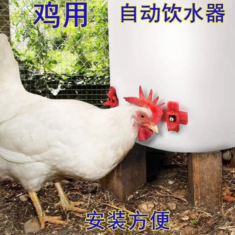 饮水器水嘴红头乳头养殖设备