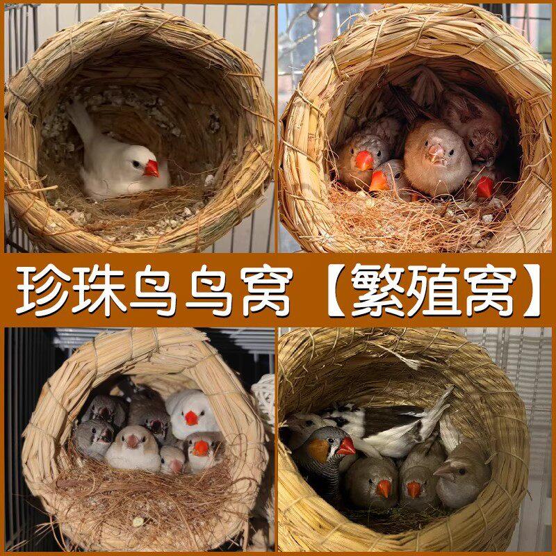 珍珠鸟鸟窝四季通用鸟巢草窝文鸟繁殖窝箱鹦鹉小鸟睡觉窝用品大全