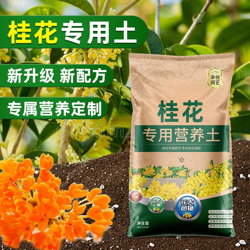 养桂花专用土营养土盆栽土桂花树专用土肥料专用肥土壤泥土种植土