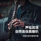 Zani Hair Tube Sax -это вход -Специальный начинающий Электронная Электронная Флейта Совет по профессиональному уровню производительности Zero Foundation