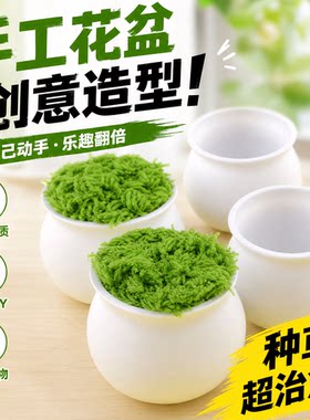 扭扭棒迷你塑料小花盆手工diy