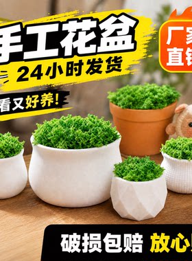 手工花艺花盆毛线花扭扭棒