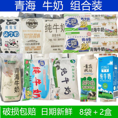 青海纯牛奶牛格桑花天露纯牛奶