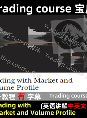 2024 Price ActioinVolume Trade 市场成交量分布图解读