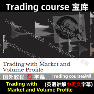 2024 Price ActioinVolume Trade 市场成交量分布图解读