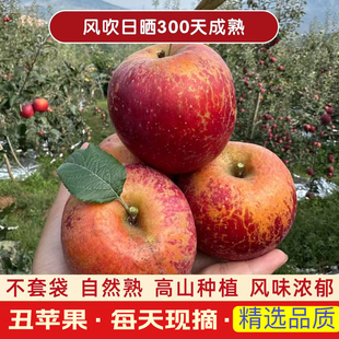 当季新鲜苹果正宗云南昭通冰糖心丑苹果精品大果5斤