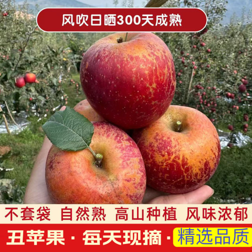 云南高原红露苹果樱桃小苹果当季新鲜昭通红露冰糖心丑苹果