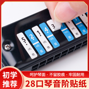 口琴音符贴纸复音C调24孔/28孔成人儿童初学者数字简谱全标音阶贴