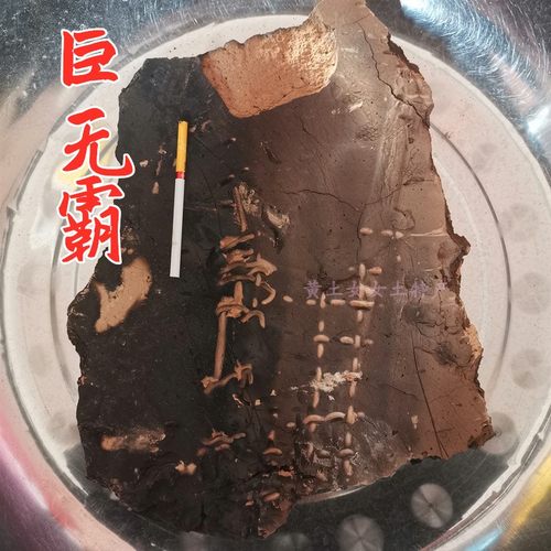 黄土大块巨无霸：分微醺和半灶两种，大疙瘩不服来战声音控