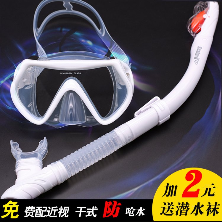 防雾浮潜三宝大框护鼻游泳潜水镜呼吸管套装近视成人儿童面全干式