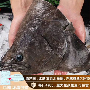 源自极地（原产国）冰岛碟鱼头海鲜商用可辅食格陵兰超大鲽鱼头