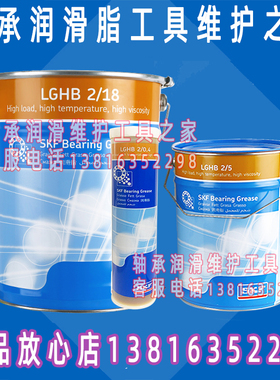 SKF润滑脂LGHB2/5 18 50 0.4 TLDD125CN/HB2 TLDD250CN/HB2注油器