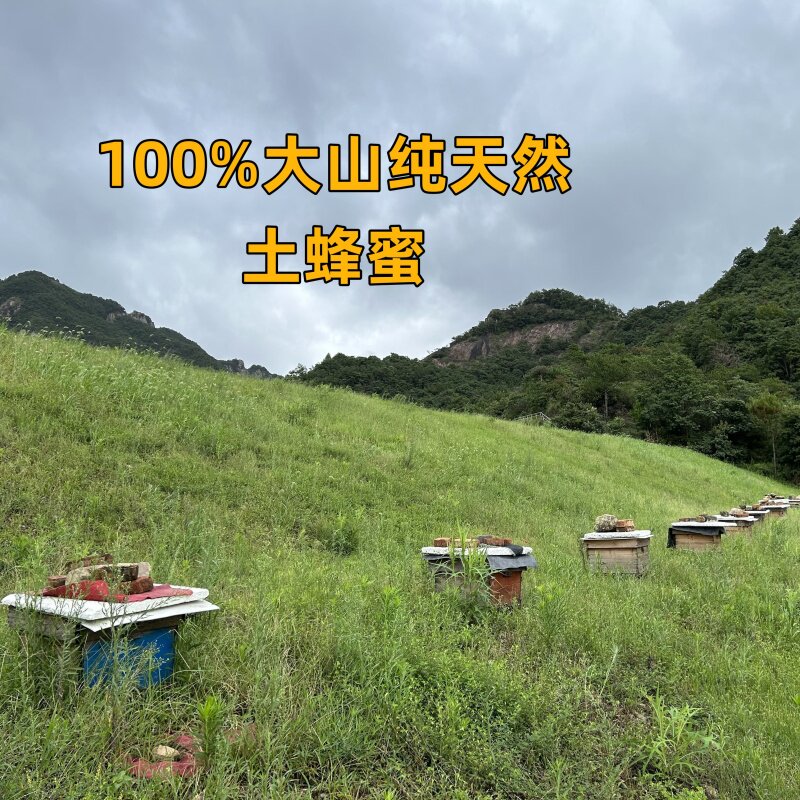 邻家农村野生土蜂蜜100%无添加