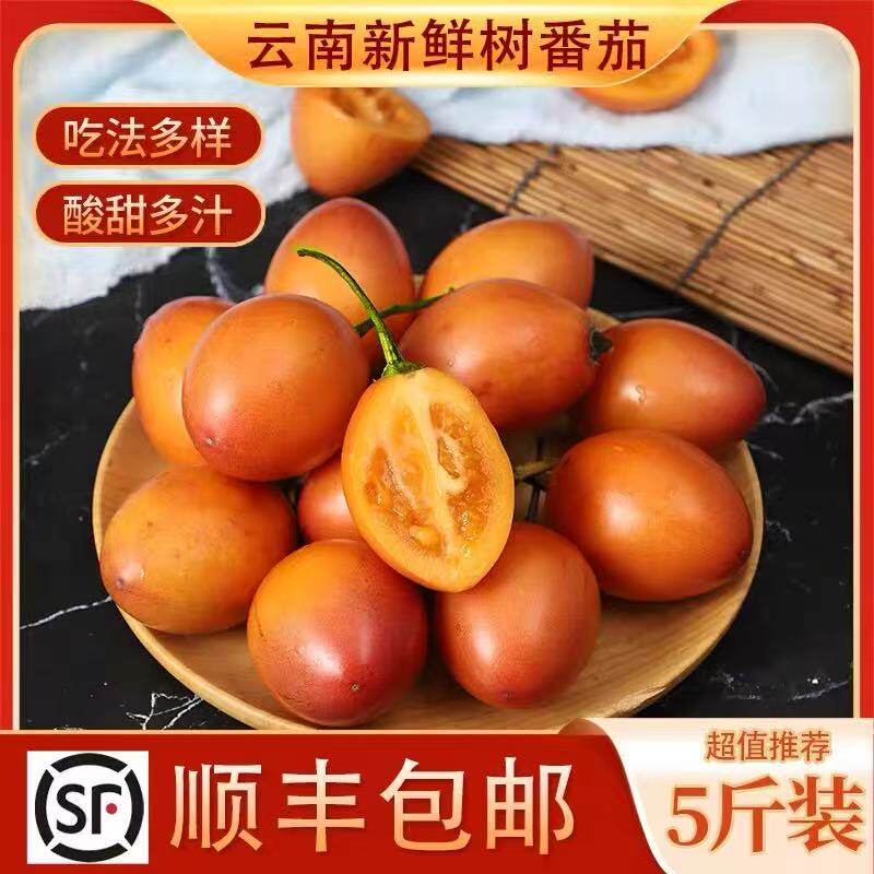 云南特产新鲜树番茄傣味条例酸汤凉拌菜蘸水调料小番茄