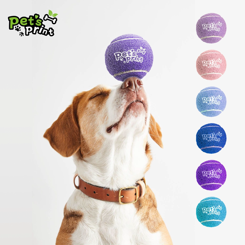 petsprint狗狗玩具球宠物用品网球巡回神器边牧静音训练宠物球