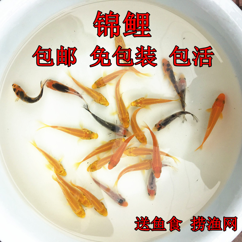 网友分享在meiguo.com上的图片