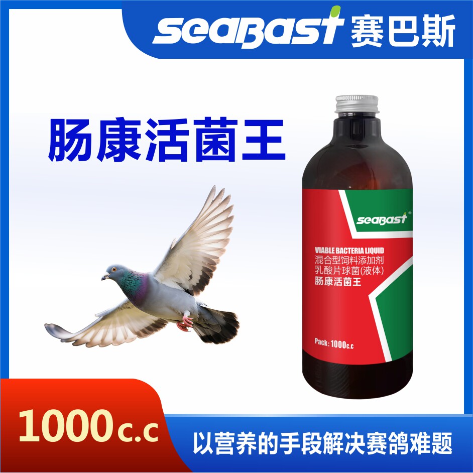 赛巴斯鸽药肠康活菌王赛鸽用品信鸽药品鸽子包邮赛鸽调理保健