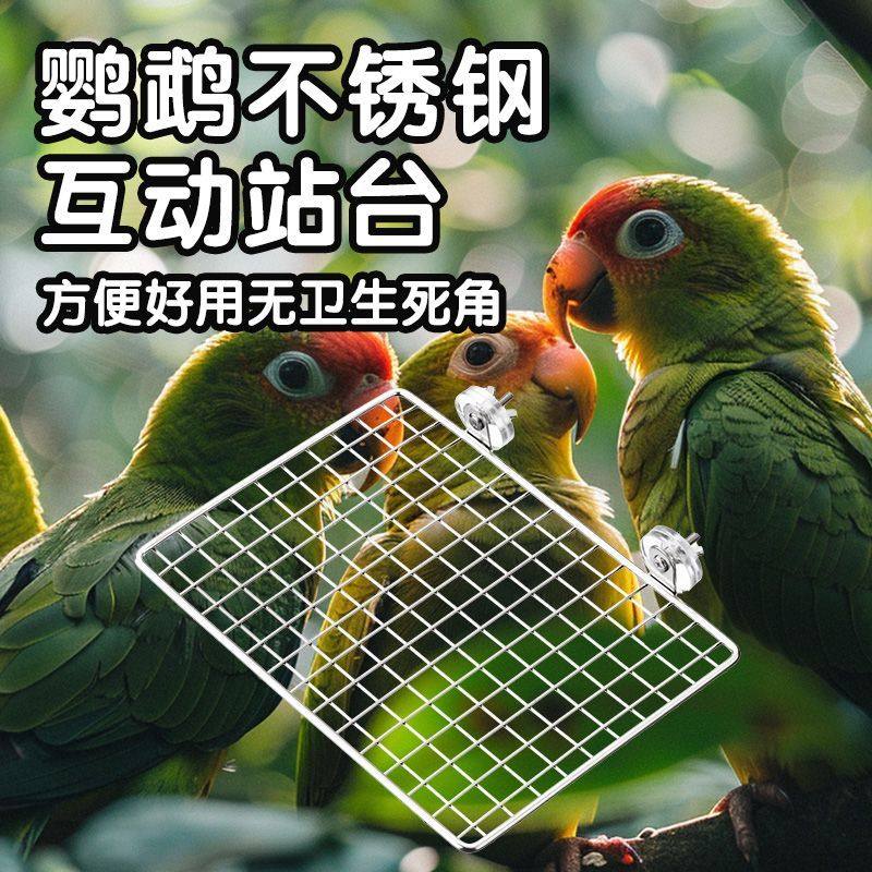 鹦鹉易清洁不锈钢站台鸟笼配件站架小太阳玄凤牡丹虎皮鹦鹉鸟用品,宠物/宠物食品及用品,鸟禽其他,淘宝优惠券,粉丝福利购,淘宝优惠卷