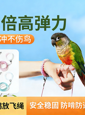 小太阳和尚鹦鹉放飞绳户外遛鸟牵引弹力绳超轻不伤脚训练绳玄凤