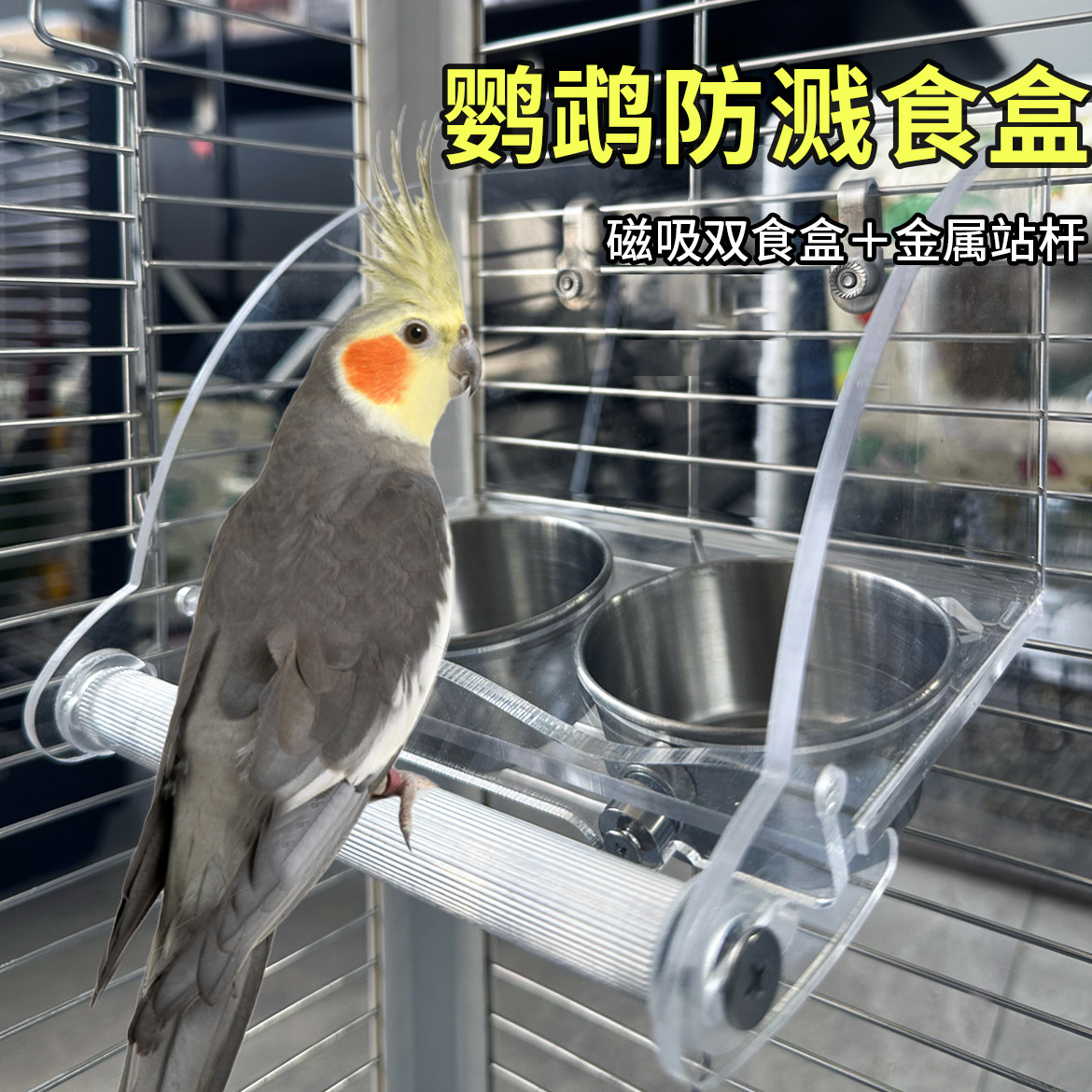 九九鹦鹉防溅鸟食盒内挂双磁吸防撒喂水器亚克力透明碗不锈钢食槽