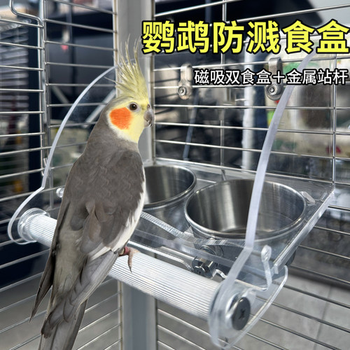 九九鹦鹉防溅鸟食盒内挂双磁吸防撒喂水器亚克力透明碗不锈钢食槽