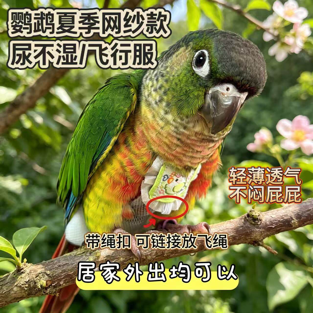 新款夏季网纱超薄按扣款鹦鹉尿裤尿不湿屎兜粪袋飞行服大容量