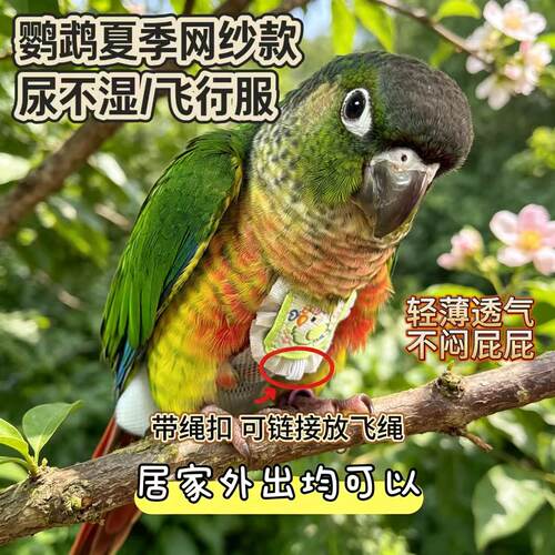 新款夏季网纱超薄按扣款鹦鹉尿裤尿不湿屎兜粪袋飞行服大容量