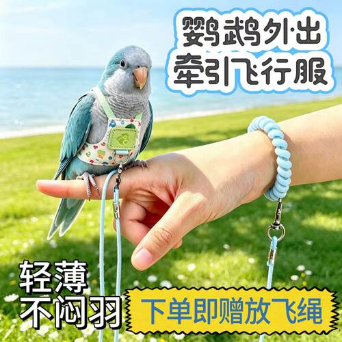 和尚鹦鹉外出放飞绳鸟用飞行绳轻薄不闷羽安全防丢手腕带连接绳