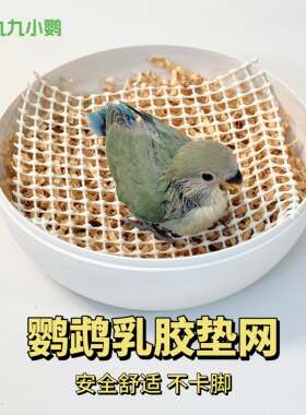 鹦鹉雏鸟专用鹦鹉乳胶垫