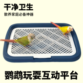 鹦鹉玩耍互动平台小型适用厕所双层设计防外溅防踩屎尿盆