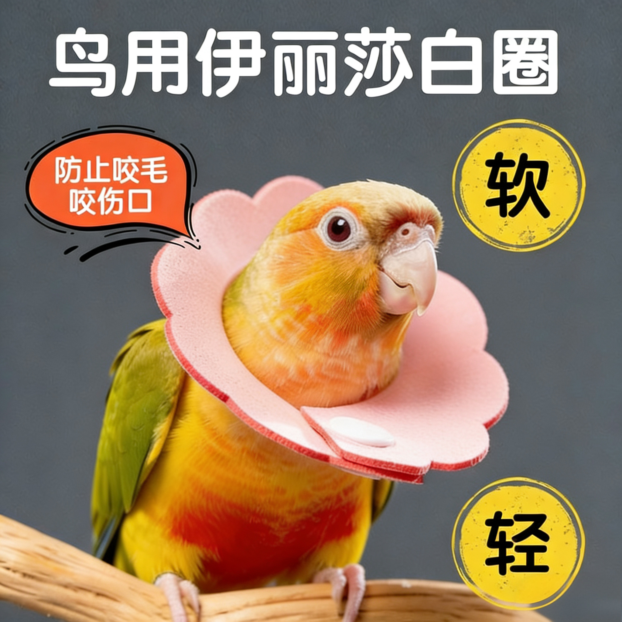 小太阳鹦鹉伊丽莎白圈牡丹玄凤不勒脖保护项圈防啃咬防细挂脖头套