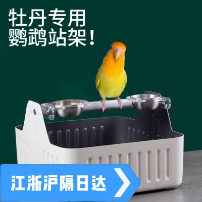 牡丹鹦鹉专用定点排便站架