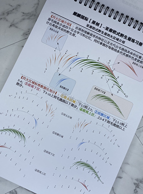麒麟国际野生眉临摹本画眉形线条眉教学本亚裔欧式野生眉练习画册